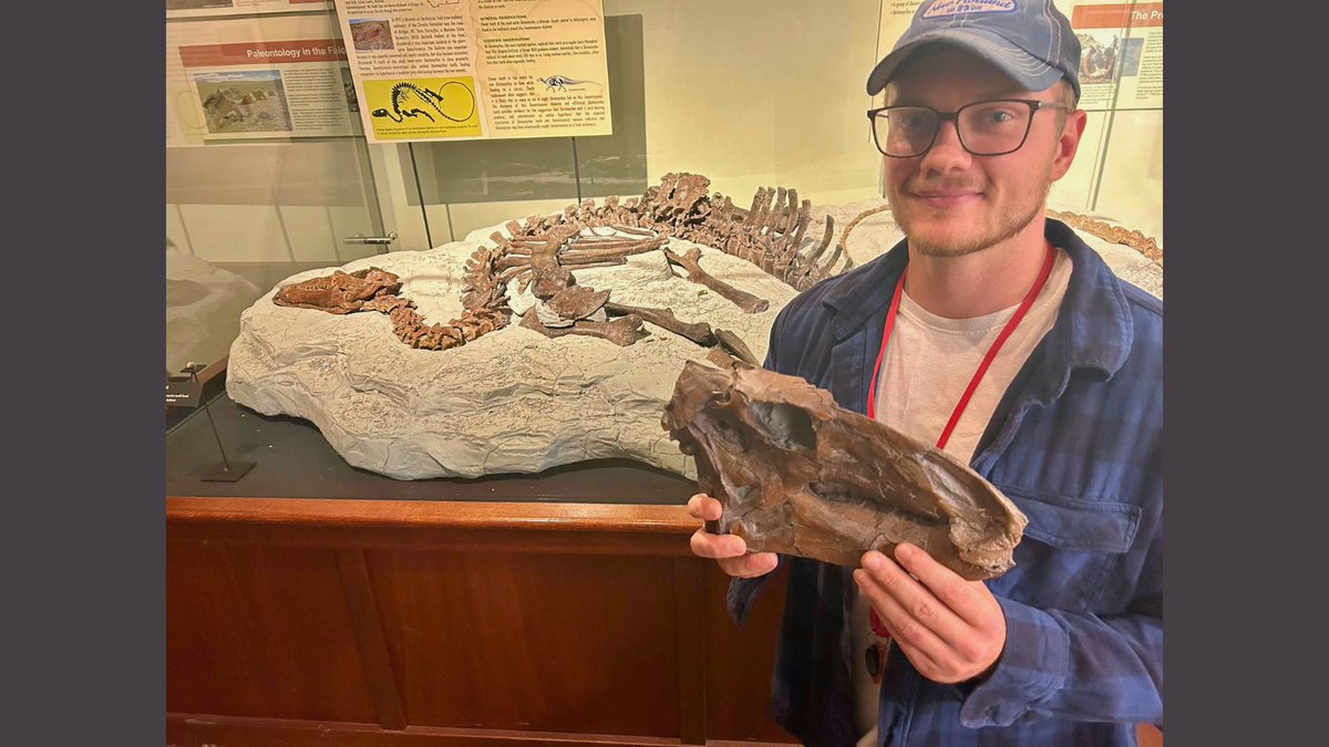 MuseumRockies's tweet image. Happy #FossilFriday! This week @NCState graduate student John Kanipe visited MOR as part of his ongoing research into the mysteries of #Tenontosaurus. Many #fossils of this plant-eating #dinosaur have been discovered in the #Cretaceous outcrops of #Montana.