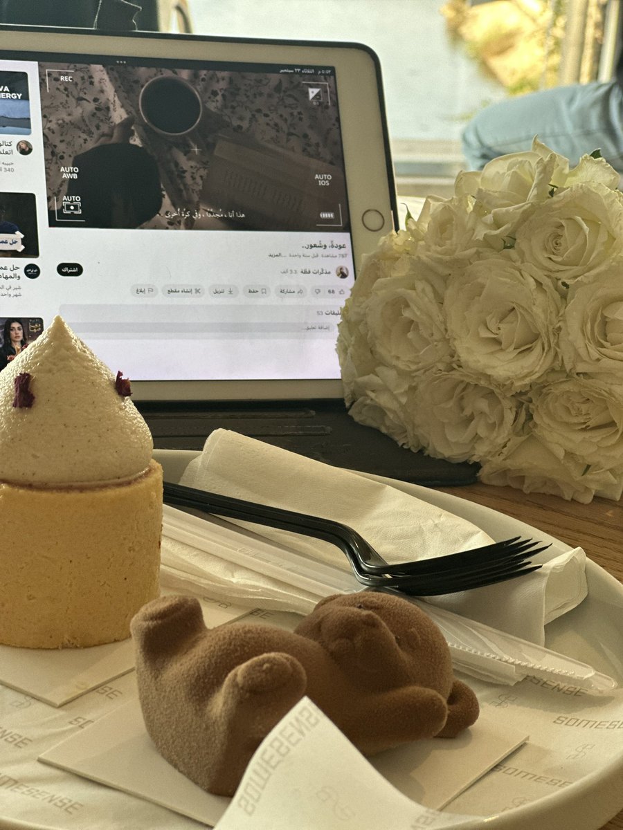 هل من الممكن نرجع نبدأ من جديد المُحاولات؟ 
كمّ الأمور والمشاعر المُؤذية والمُرهقة اللي حصلت في الشُّهور دي لا تُعد، يكبُر فيها المرء عُمرًا والله. لكن، الحمد لله على العلقَم والبلسَم، والضَّراء قبل المسَّرة. كما قال دكتور عماد رشاد: 
"لكي نتعافى، نحتاج خطوتين للأمام وخطوة للخلف"