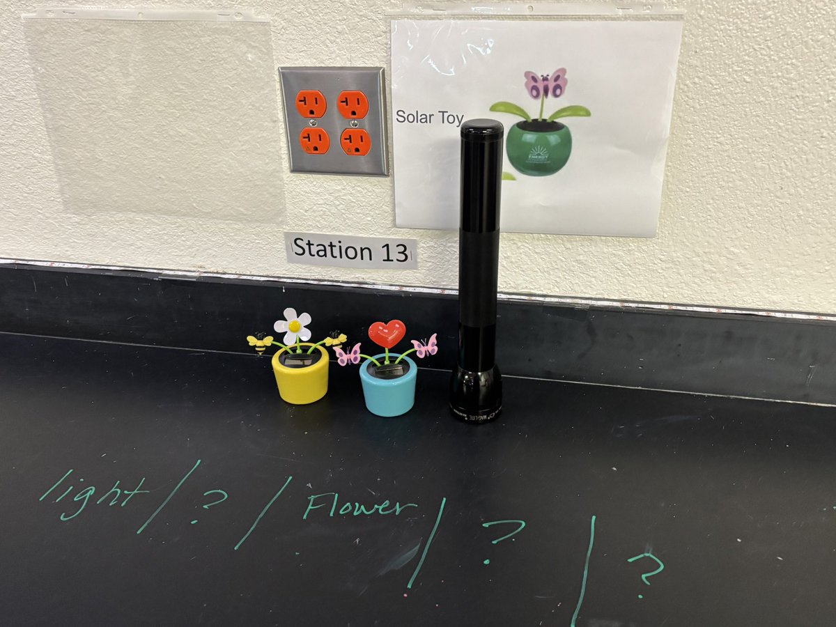 LISD Science tweet media