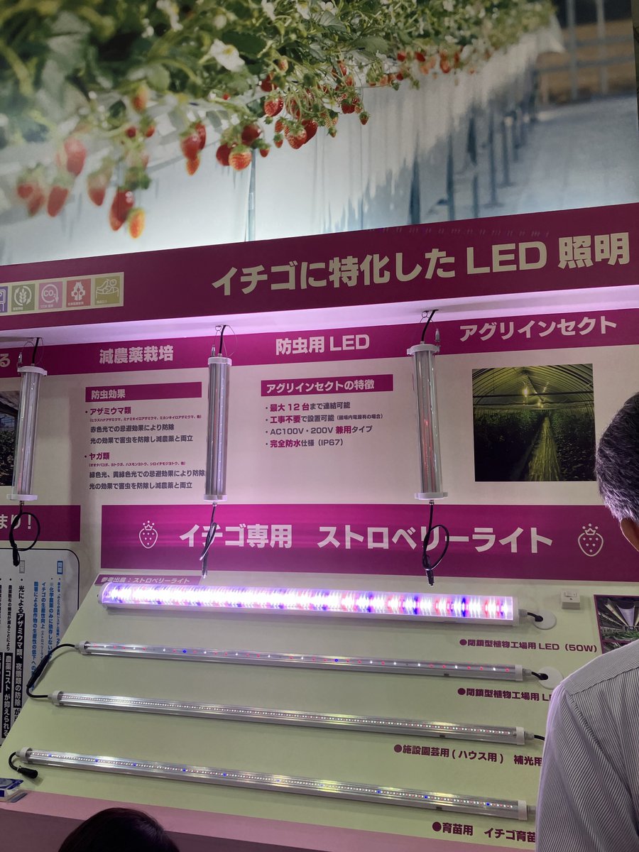 kajitsu_ya's tweet photo. JAGRIGLOBAL👨‍🌾に参加し、農産物を新鮮なまま保存する最新技術や苺を傷つけずに梱包する資材などを学びました✍🏻
 #果実屋 の使命は、ただ果物を売るだけでなく「鮮度を守りお客様に最高の状態で届ける」こと💭
今後も農業と真正面から向き合い、より良い形で果物をお届けできるよう精進してまいります✨ https://t.co/6QbJhzGmS3