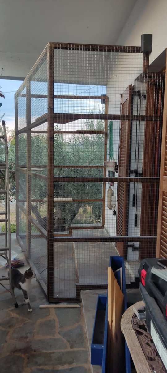 archiesanctuary's tweet photo. Over the past week, Robert and Louise have been hard at work building a special catio for Rufus, our blind cat, and Gnasher, who has a tumour in his inner ears. Thanks to their efforts, both boys will now be able to safely enjoy some time outdoors.

#Catlovers #Animalrescue https://t.co/2P3ovAZqei