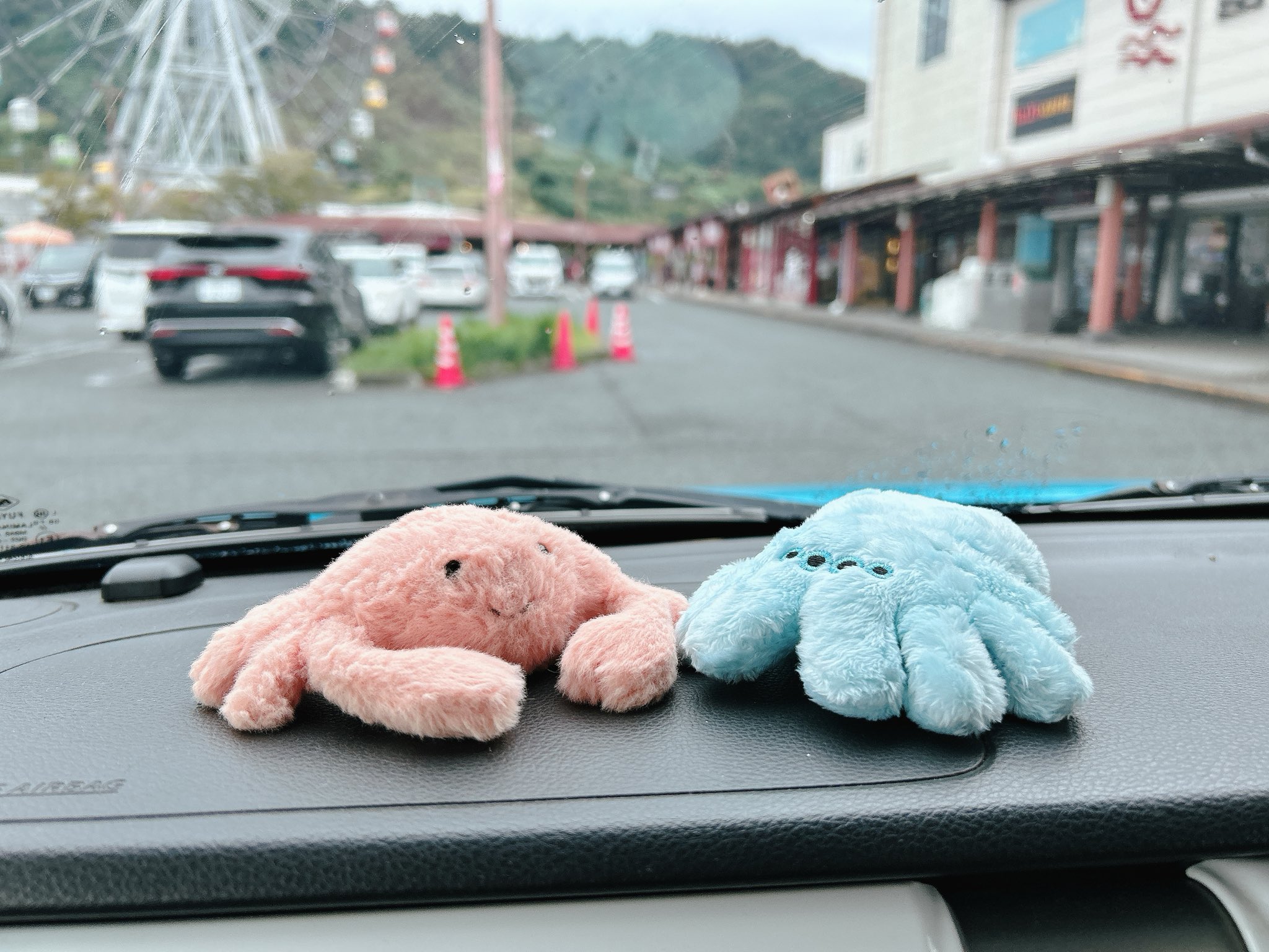 ハエトリグモの赤ちゃん BIG 空色 ぬいぐるみ