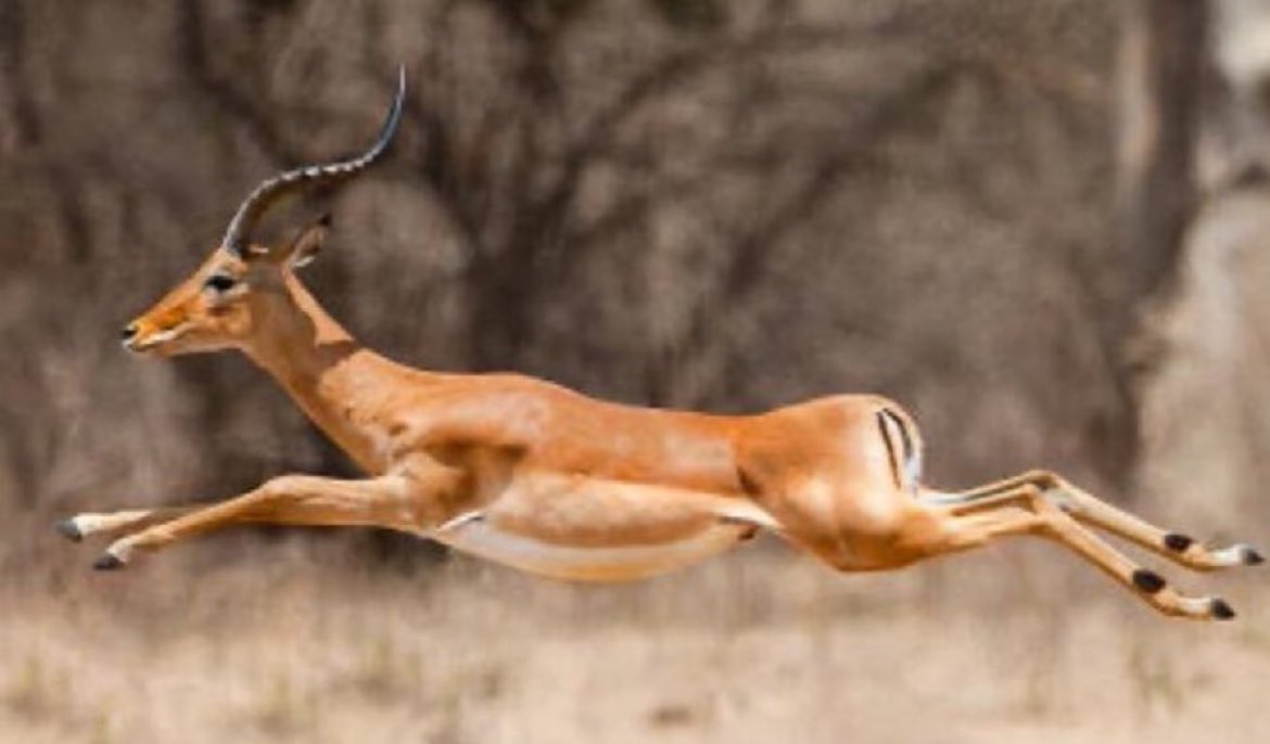 Keep Running!!! #RTD