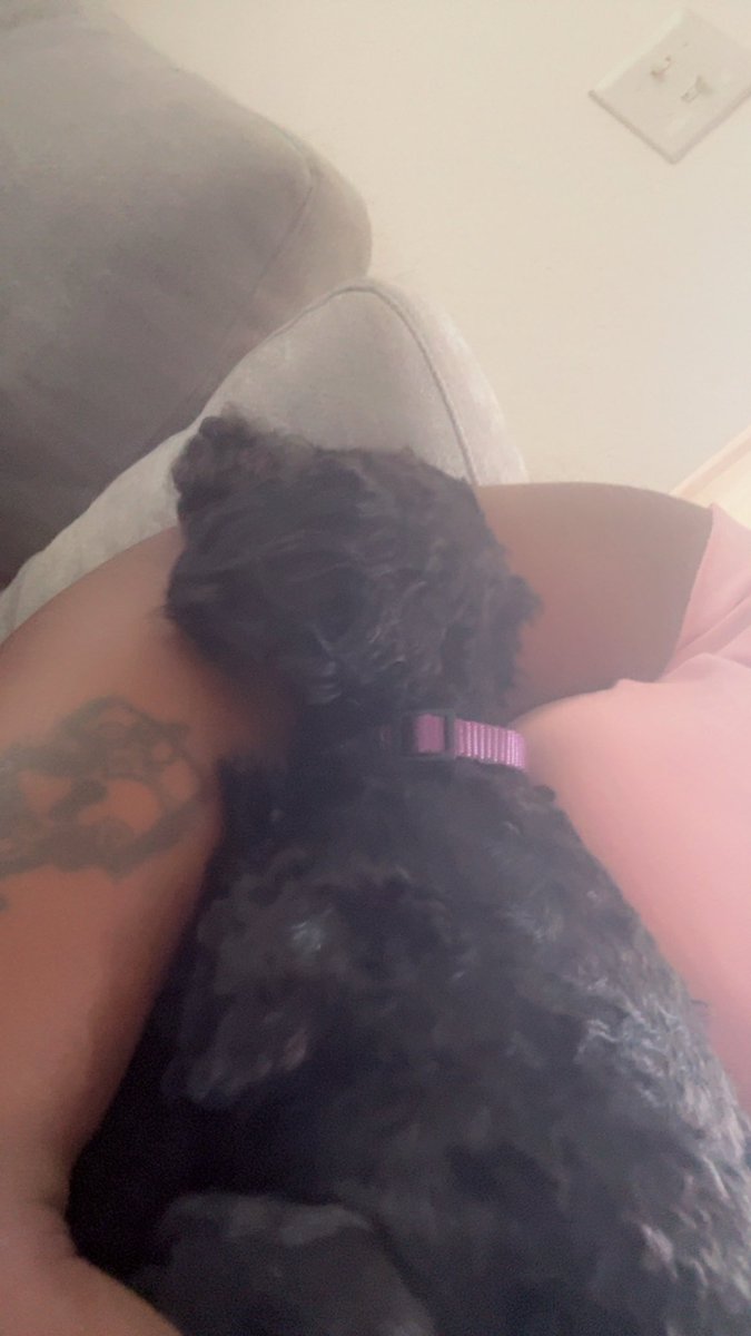 My New Edition: Midnight!!!! Shadow loves his baby brother 🐕‍🦺🐶🐾🦴🦴