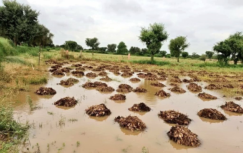 सोचो उस किसान का, जिसकी सालभर की मेहनत फसल के साथ बह जाती है।
उसका दर्द सिर्फ़ वही जानता है... 💔

#किसानों_को_मुआवजा_दो
#किसानों_को_मुआवजा_दो