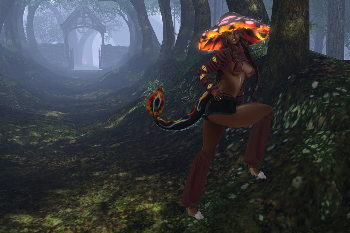1239 – Tiptoeing Through the Twisted Forest
thefoxclawpost.wordpress.com/2025/10/03/123…
twistedhunt.com
<a href="/SecondLife/">Second Life</a> #TwistedHunt #WyldWynter #GERMINAL #AilurianArtifacts #huntprizes #LimitedEditions #sidehuntgifts #GlamAffairSL #Parisa #AVALON #LelutkaEvoX #DOUXHair #EtherealEssence #SLHunts