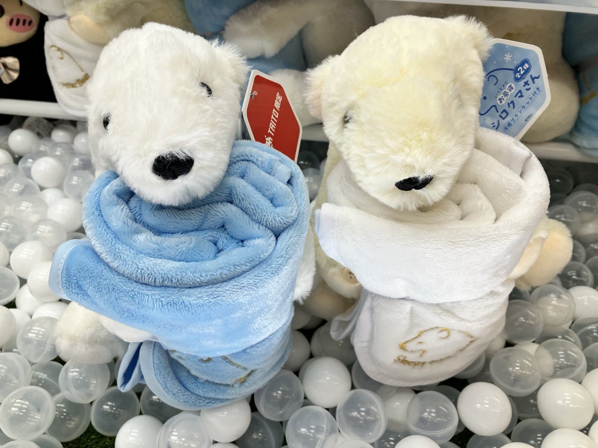 シロクマさんが抱えてるのは 表はふわふわ、裏はひんやり お昼寝用の