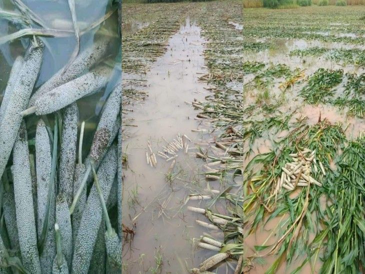 #किसानों_को_मुआवजा_दो