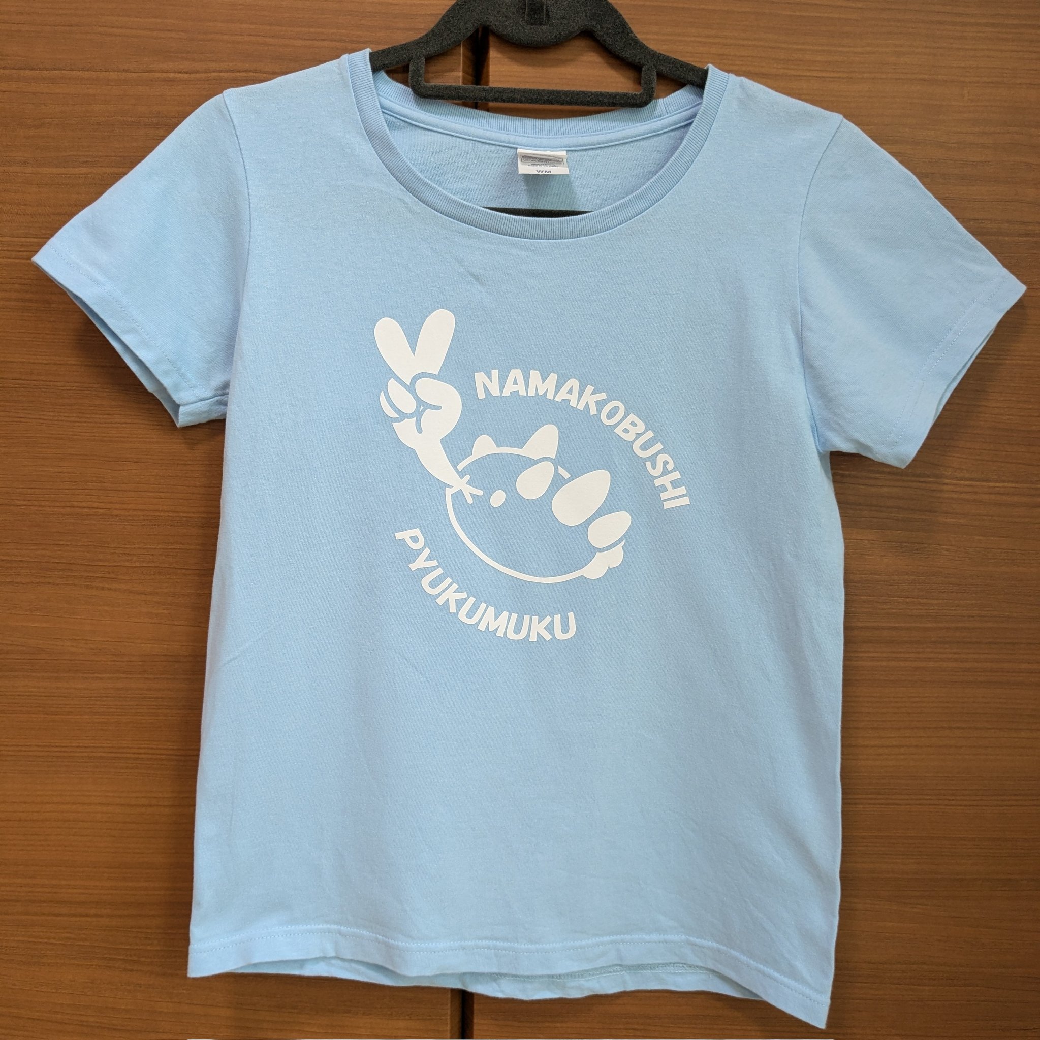 私のナマコブシ KAZUMI MOROHOSHI Pin,K 30th anniversary X'mas GiGz 2025 -The