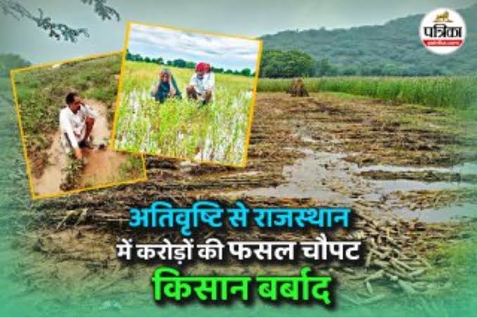 सभी साथी लिखें 🙏🙏
#किसानों_को_मुआवजा_दो

<a href="/Akkkikukna8094/">Annu Kukna</a> <a href="/arvindchotia/">Arvind Chotia</a> <a href="/Bhincharpooja/">Pooja bhinchar </a> <a href="/ManzuDinesh/">Dinesh Manzu Rawlani</a> <a href="/JatSarika/">Sarika Choudhary NFU</a> <a href="/SSaritacha42388/">choudhary_saru</a> <a href="/SARITA_BISHNOI2/">SARITA_BISHNOI</a> <a href="/KevalChandN/">Keval Chand</a> <a href="/sanjubabarj21/">संजय चौधरी </a> <a href="/AnjuJhang/">Anju choudhary</a> <a href="/ronak_khatrii/">Ronak Khatri</a> <a href="/Deeparamdukiya5/">Tr Deeparam Dukiya</a> <a href="/Radhemahwa/">Radhe Meena</a> <a href="/Rajsthanikaka/">राजस्थानी काका 💪🙏</a> <a href="/RameshGodara_/">Ramesh Godara 🇮🇳</a> <a href="/Sunil93Gora/">Sunil Gora Choudhary</a>