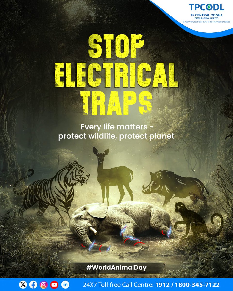 TPCentralOdisha's tweet photo. Wildlife is vital for the balance of our ecosystem. Yet dangers like electrical traps put their lives at risk.
On this World Animal Day, let’s pledge to safeguard our animals and nurture a planet that thrives with them.
#WorldAnimalDay #ProtectWildlife #StopLivewirePoaching https://t.co/NyLbYo80QJ