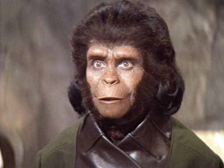 Julianvl's tweet image. #apeshit #dystopianmerch Jane Goodall's illegitimate daughter, profoundly disturbed by Hollywood's deplorable sequels to Planet of the Apes, and in fear of deportation to more tropical latitudes, secures film rights for Will Self's Great Apes