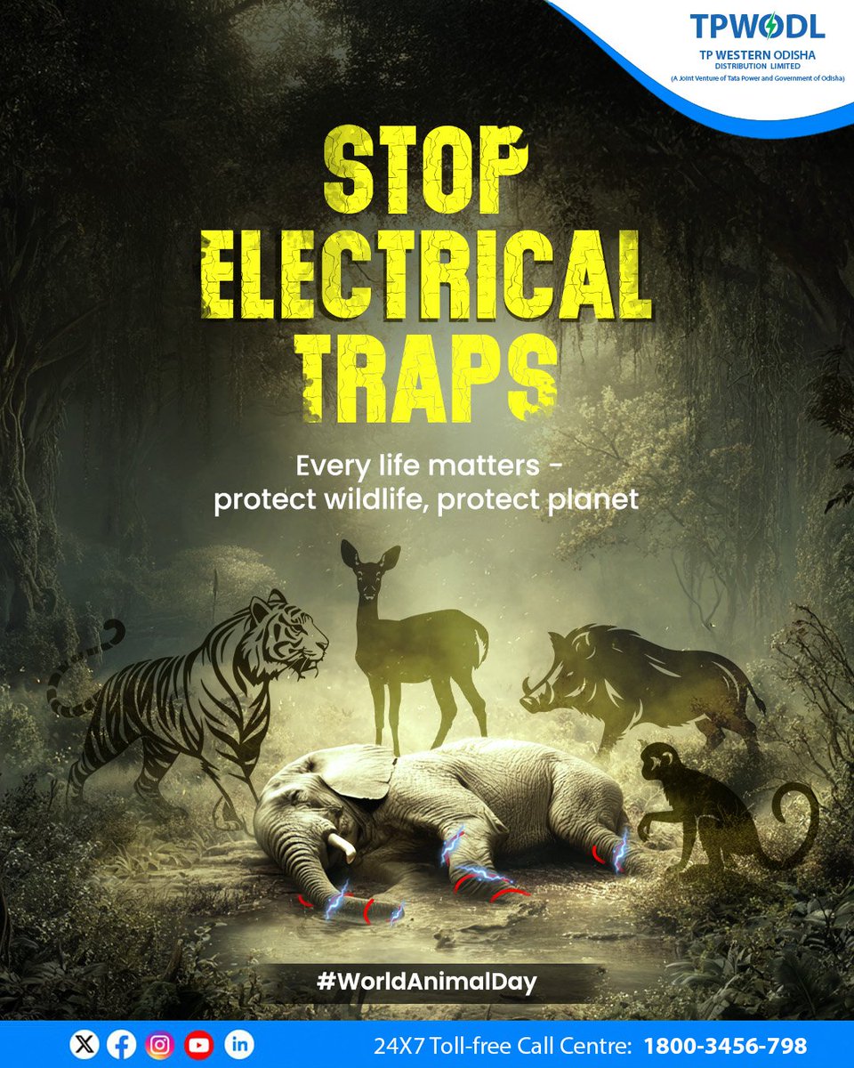 TPWesternOdisha's tweet photo. Wildlife is vital for the balance of our ecosystem. Yet dangers like electrical traps put their lives at risk.
On this World Animal Day, let’s pledge to safeguard our animals and nurture a planet that thrives with them.
#WorldAnimalDay #ProtectWildlife #StopLivewirePoaching https://t.co/etVj4WP4JZ