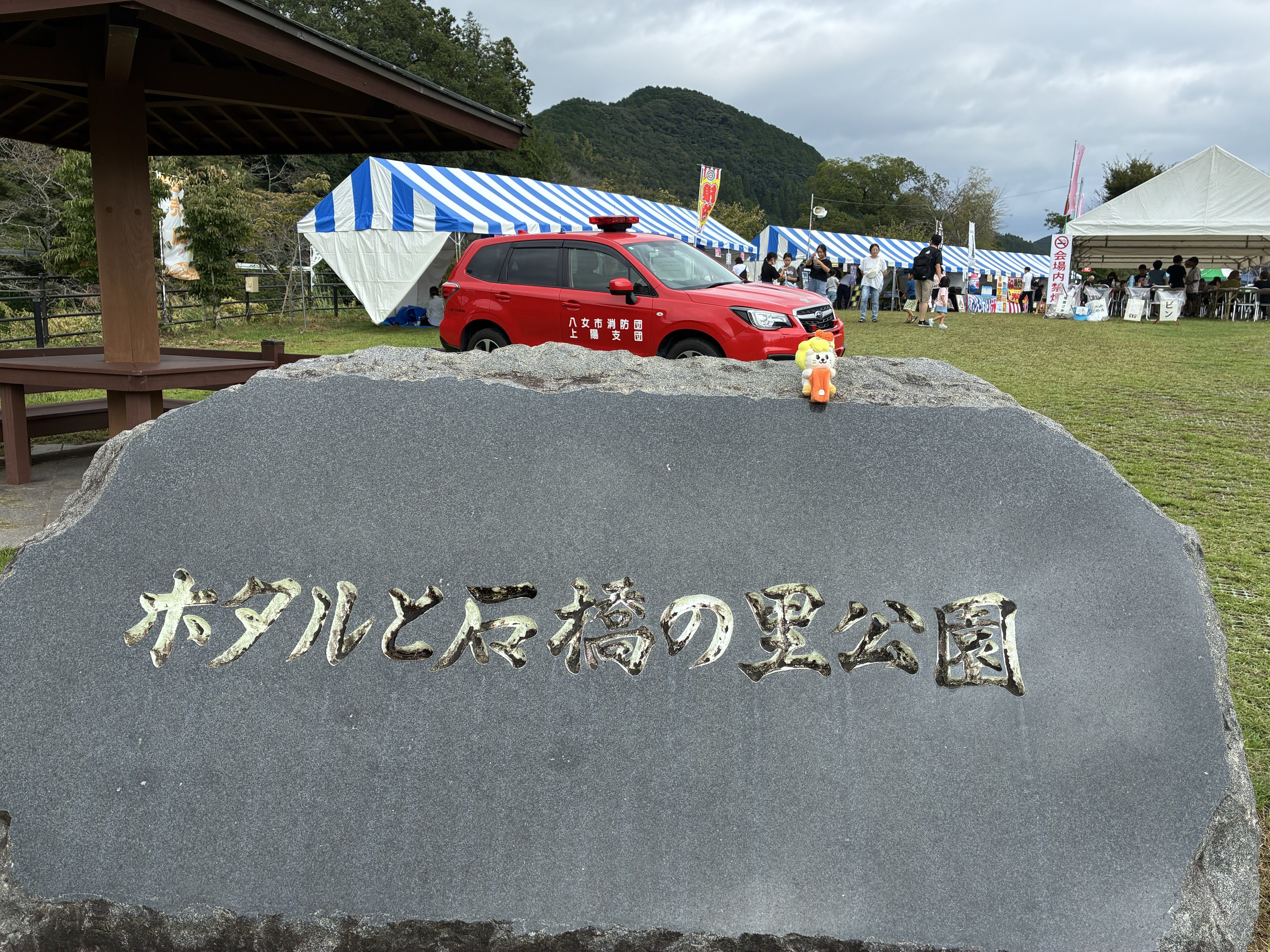 あっちゃん 横顔集めてみました🥰 #横顔特集 #avv #チルフォトグラフィー