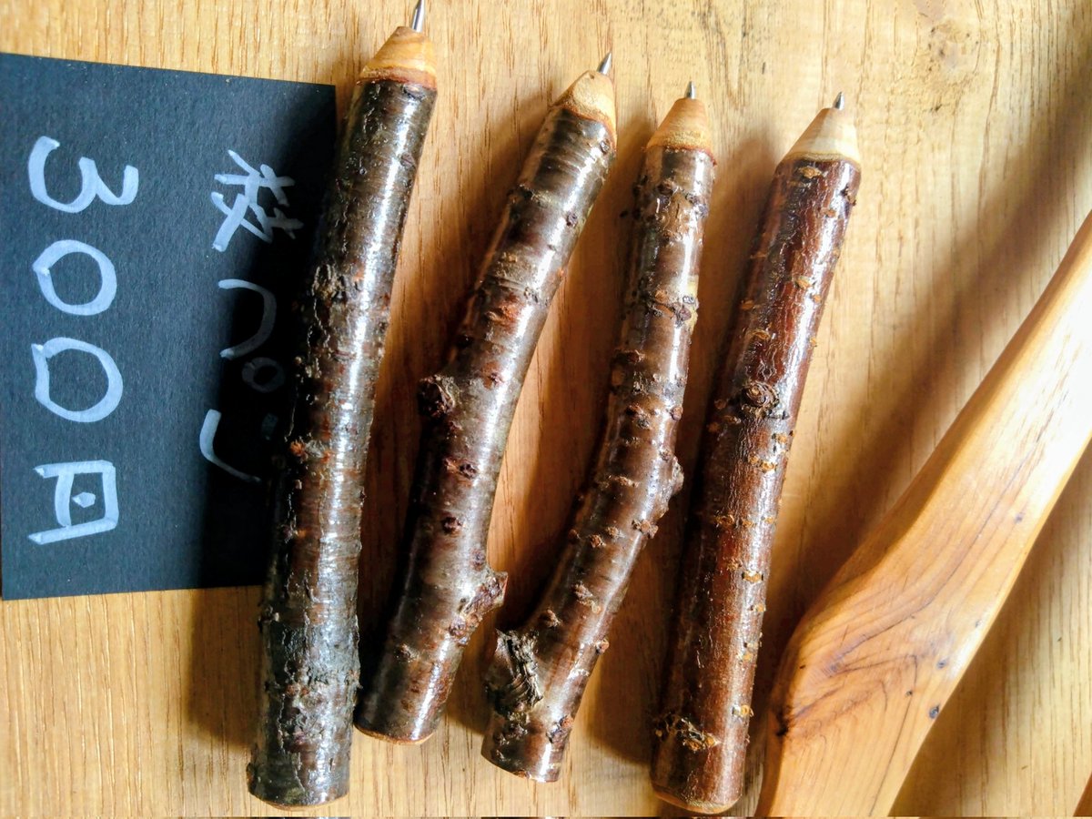 tmk_exforest's tweet image. 苫小牧研究林グッツ。
札幌キャンパスで人気の
シマエナガストラップ
ちょっとだけ個性的なので…
記念館では半額で販売しおります。
しずくストラップと枝ペンも
人気です!
#苫小牧研究林