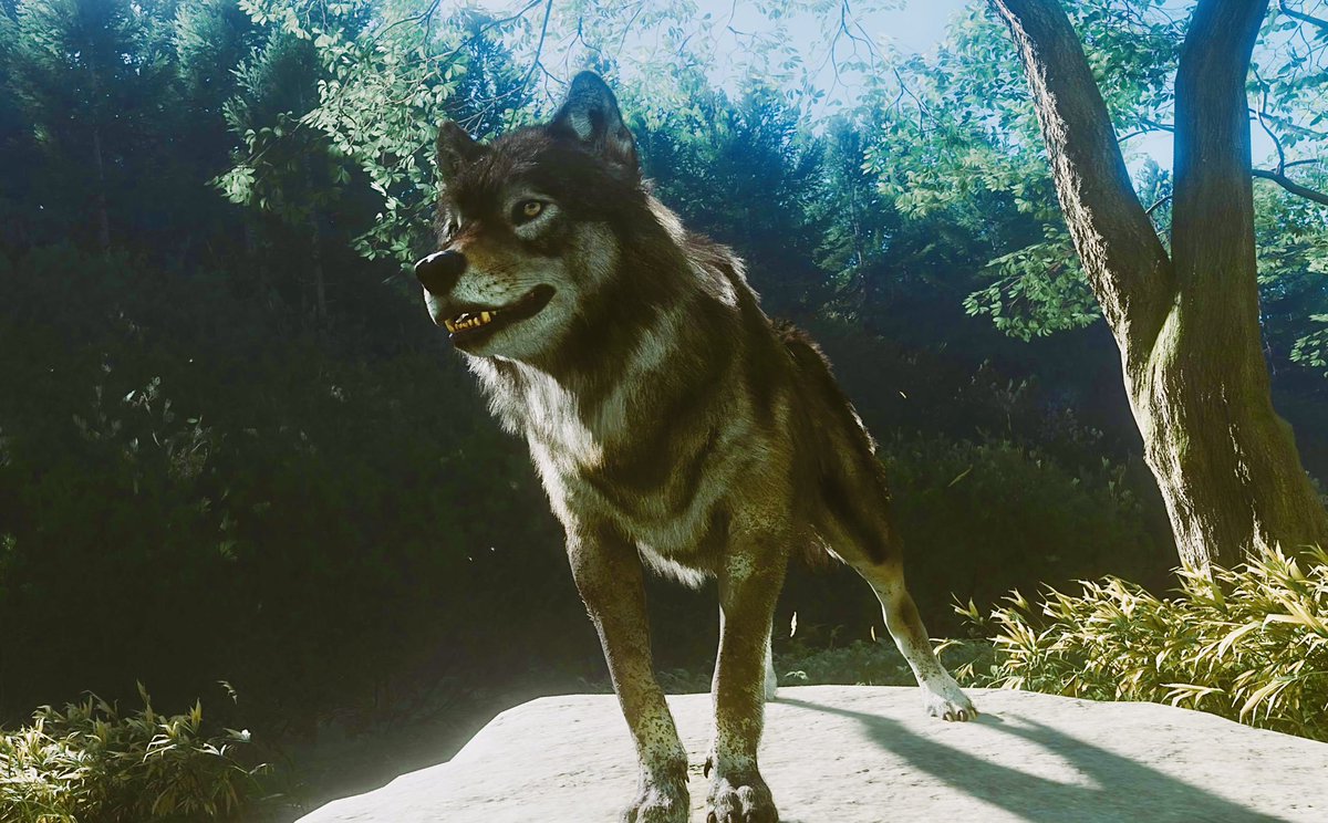 call_me_xavii's tweet image. Best Companion 🐺 #GhostofYotei