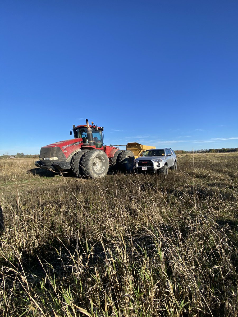 Casual Friday with my baby Steiger