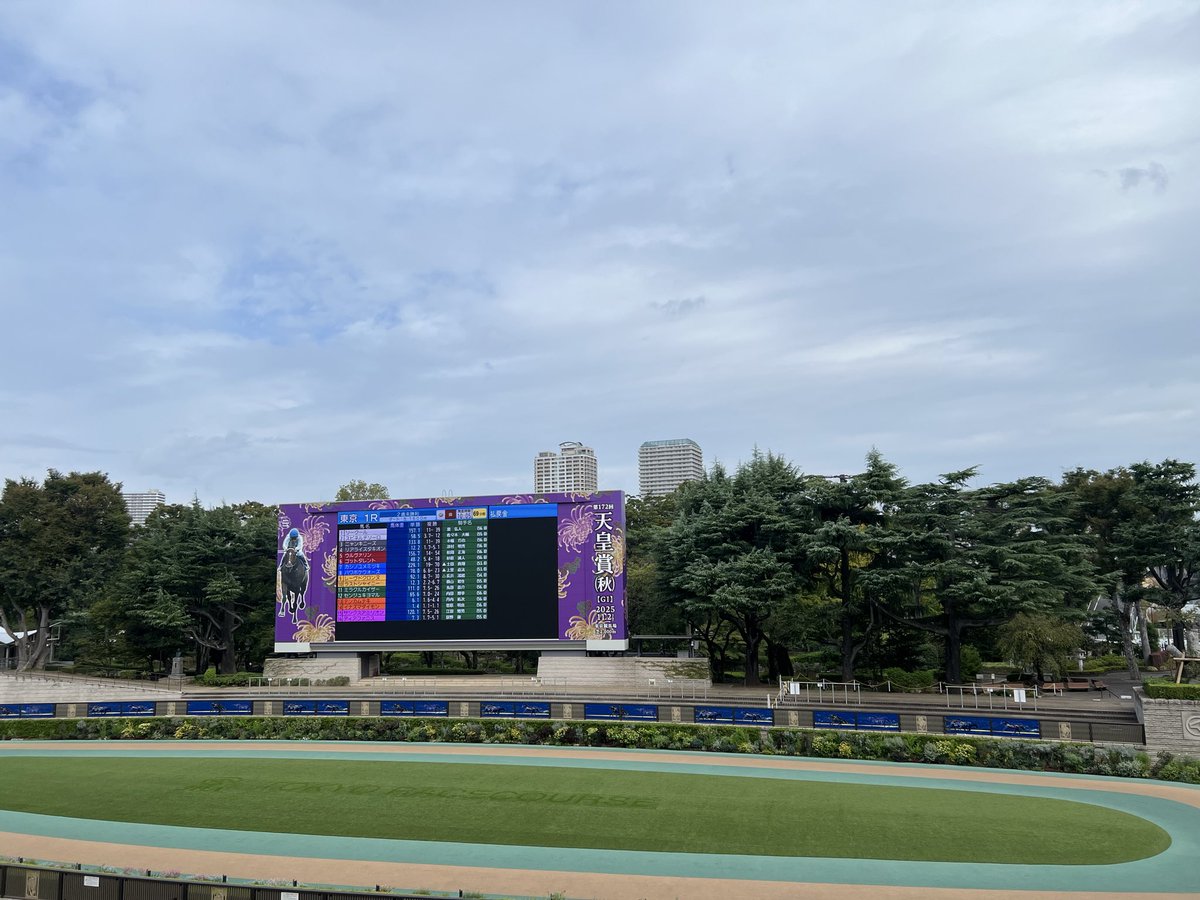 saoric0310's tweet image. おはようございます☀︎
本日 #グリーンチャンネル『#中央競馬全レース中継』パドック進行を担当しています🐎♪
.
10月4日(土)の東京競馬場
パドック解説は
午前: 小林正明さん
午後: 林茂徳さん です!
.
11Rは #グリーンチャンネルC です🌱📺
一日よろしくお願いします✨
#競馬