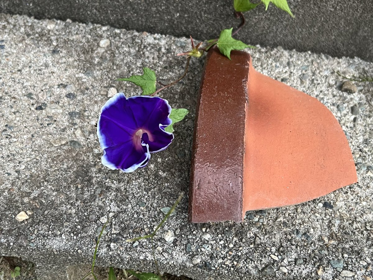 自作 「絶望」 見てください ユウキチ（喪中） (@yukichi173) / Posts and Replies / X