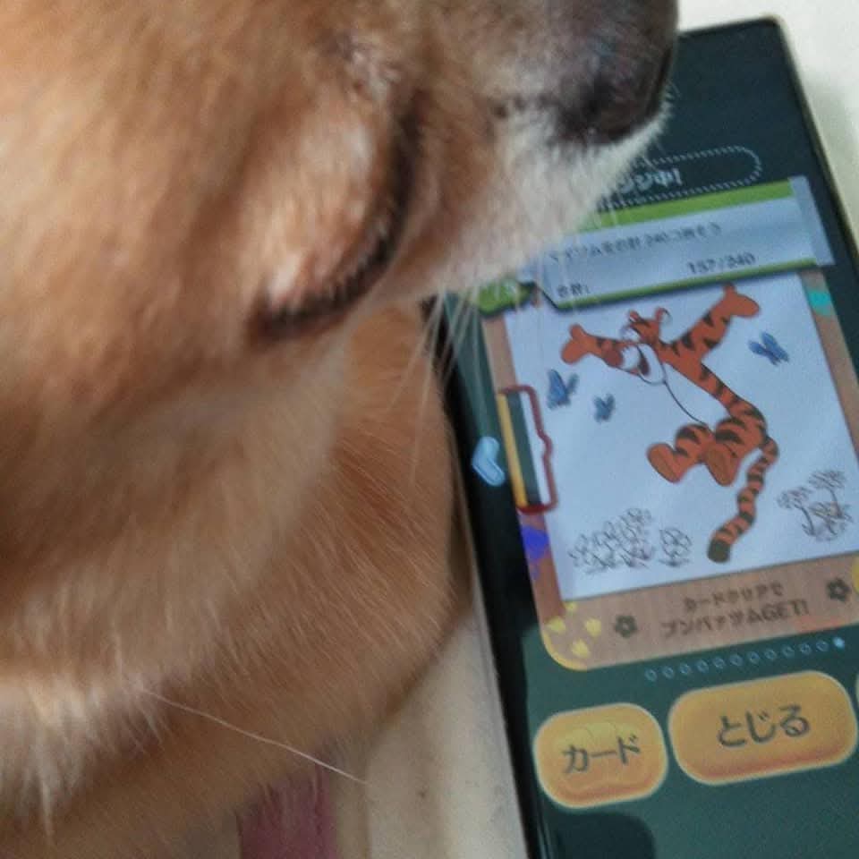 居眠り、気持ちよさそう