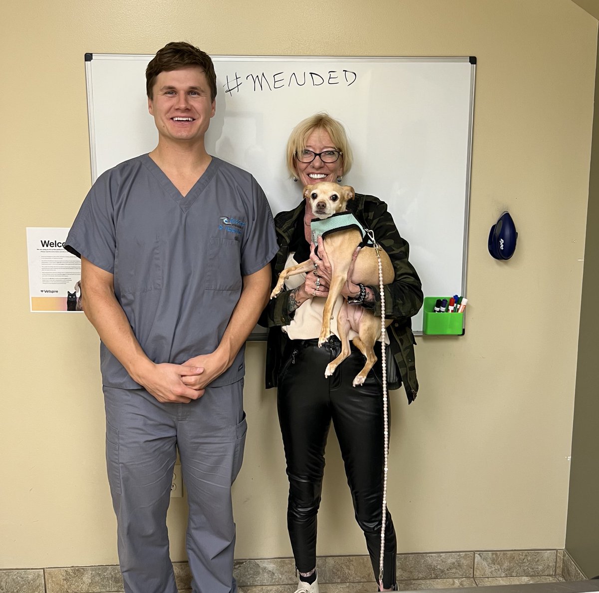 TheHerdHouse's tweet photo. Catherine O’Hara is #Mended!
Bladder stones ❤️‍🩹 gone
Weight &amp; body condition ❤️‍🩹 perfect 
Diabetes ❤️‍🩹 down to one dependent unit
Diabetic Cataracts ❤️‍🩹 perfect vision, no complications 
Thanks to Dr Violette &amp; the team at Eye Care for Animals, SLC-UT and all of you. 
#RescueDog https://t.co/XCy7rPpFYK
