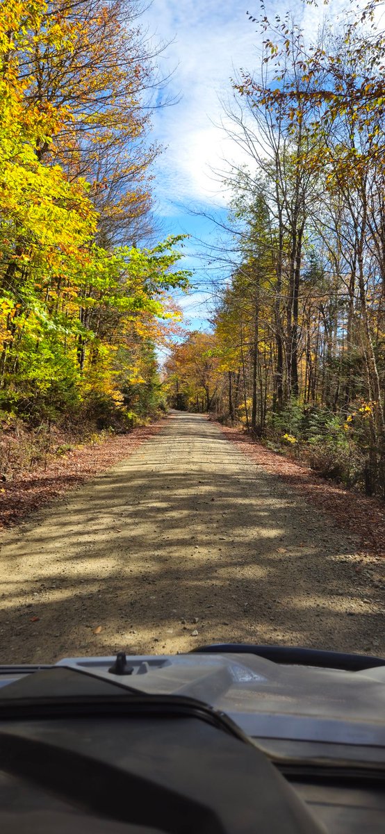 An absolutely beautiful day on the trails <a href="/NHStateParks/">NH State Parks</a>
<a href="/NHfishandgame/">NHfishandgame</a> Thank you landowners and clubs