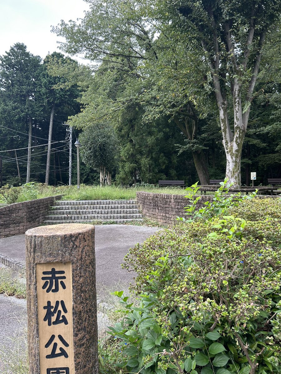 tomomope's tweet photo. この赤松公園の奥はグリーントリムという１キロくらいの長さがある森の公園で、そちらに向かって飛んでいってしまいました‥（；＿；） https://t.co/ITBnh2JjiC