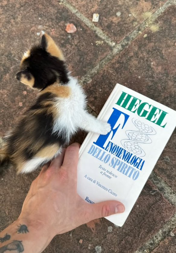 frederico lendo hegel, muito culto