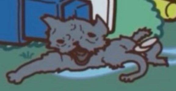 Pachink0Lessons's tweet image. Actively losing it