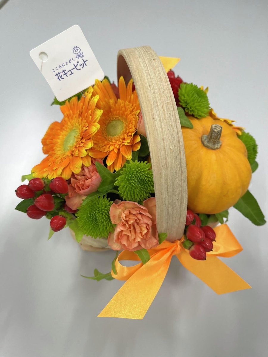 🌸#花咲かタイムズ ✨🌷今週の花🌷✨ 「ハロウィンのオレンジ