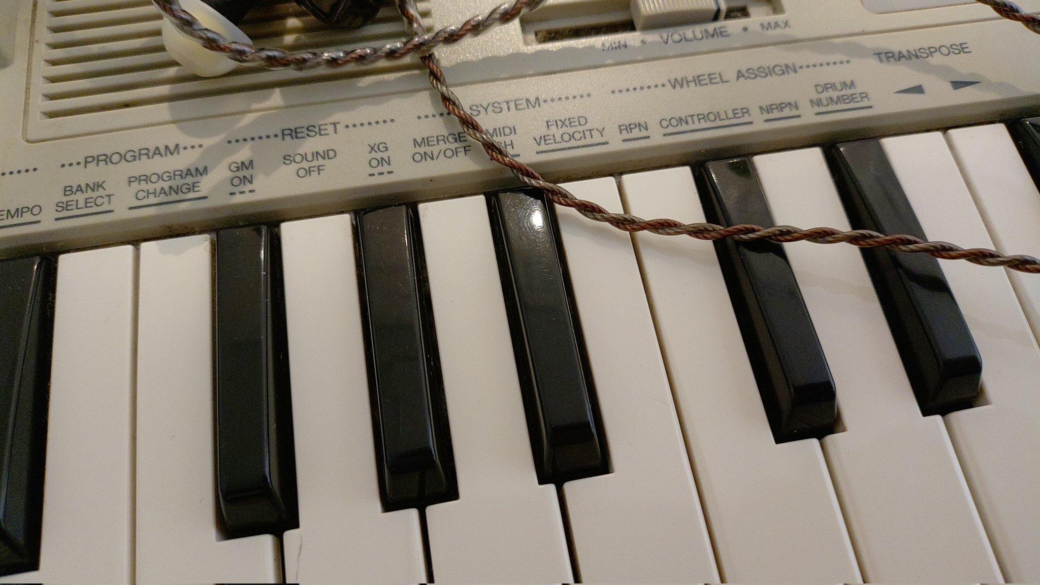 鍵盤楽器 ken1 池部楽器店 鍵盤堂 渋谷シンセサイザー アコーディオン オルガン