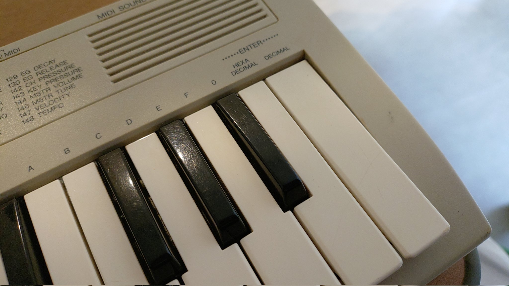 鍵盤楽器 ken1 鍵盤楽器 ken1 中山 鍵盤堂 | イケベ楽器店オンラインストア