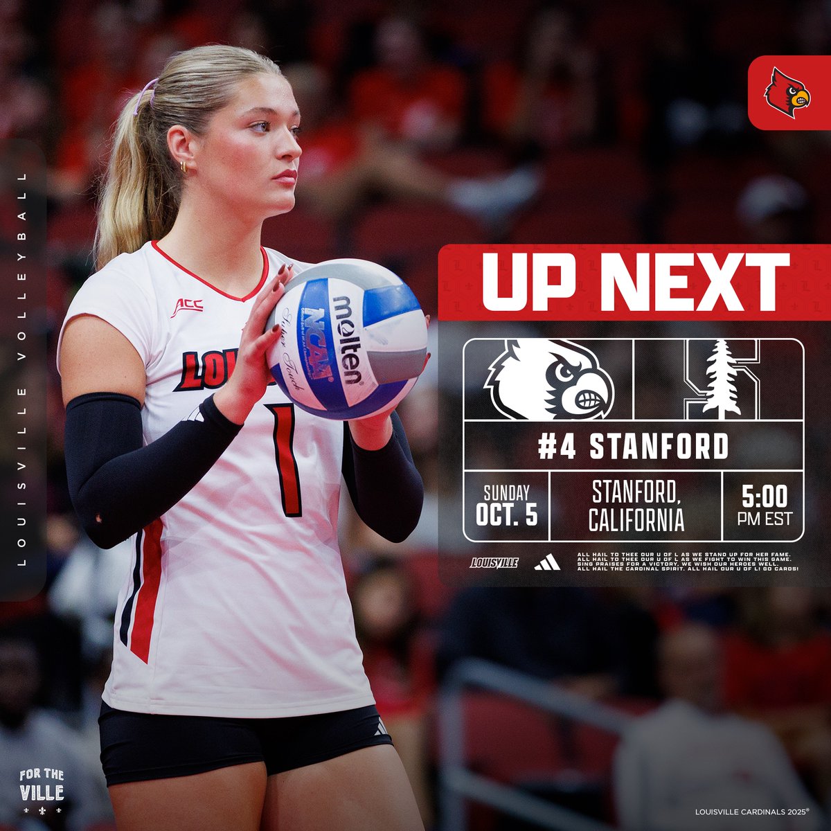 Louisville Volleyball tweet media