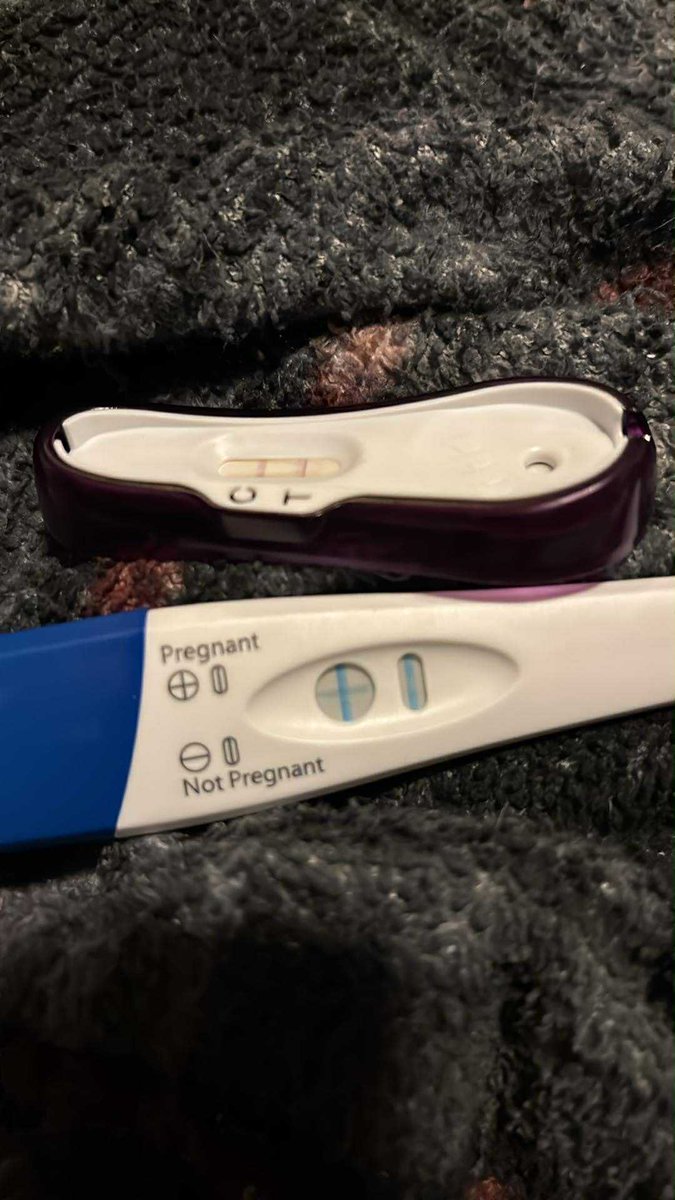 Sunny Summer ☀️ tweet media