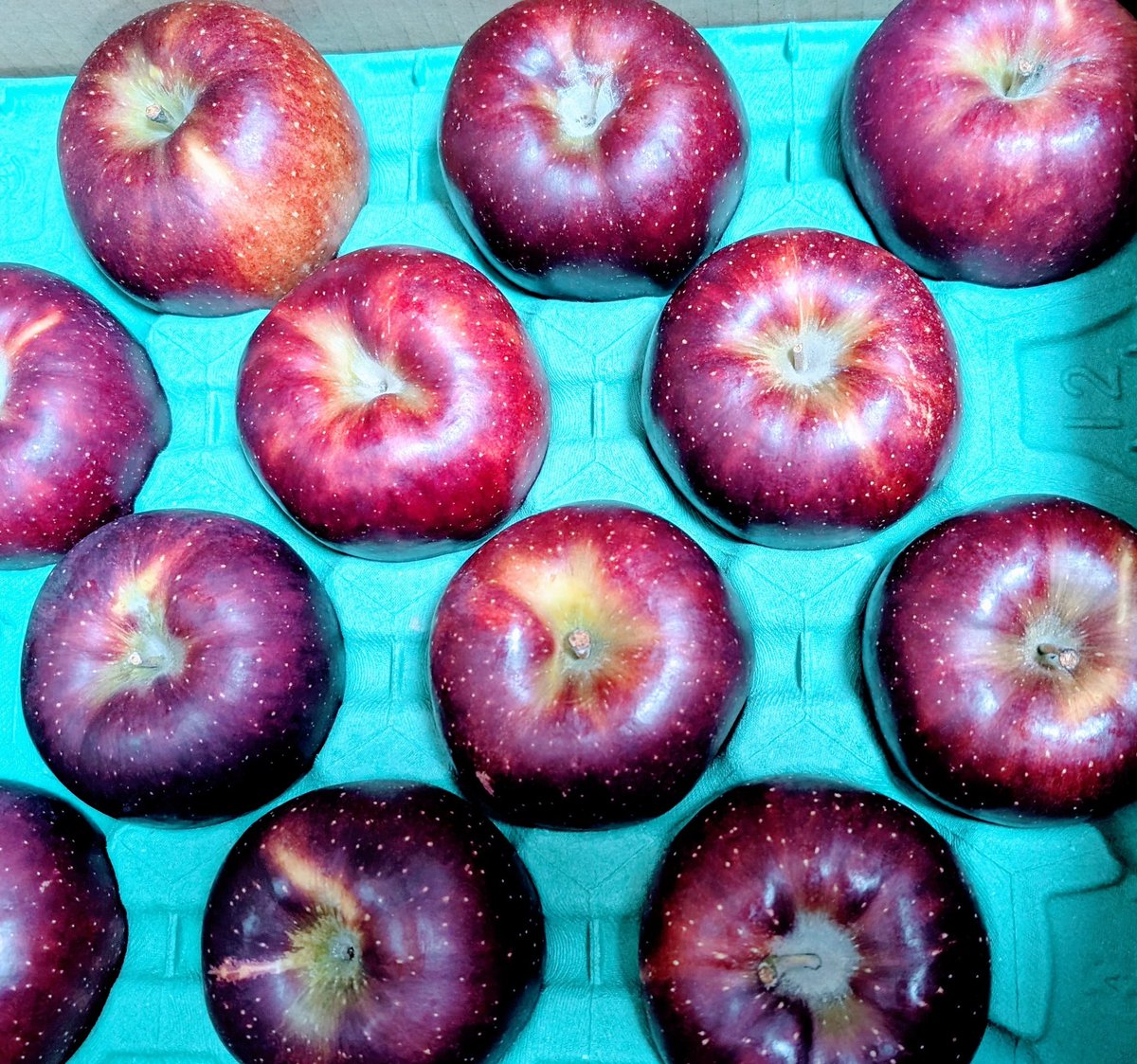 秋映ページ♡ 红豆菠萝包yyds on X