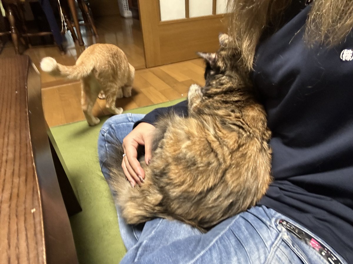 tama (@tama511_tama) / Posts / X