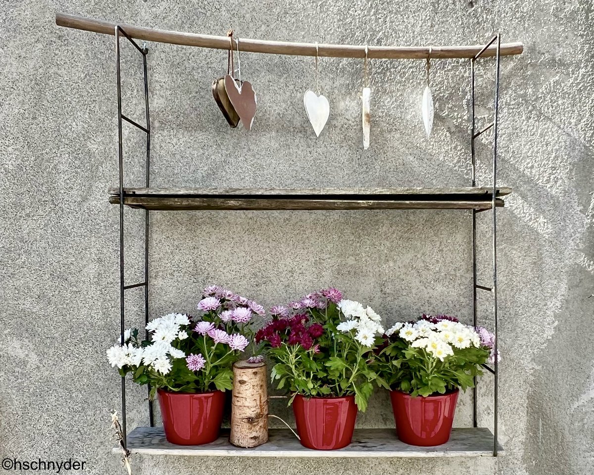 HrSchnyder's tweet image. Von Malans geht es wieder talwärts #malans #landquart #graubünden #wandern
#hiking