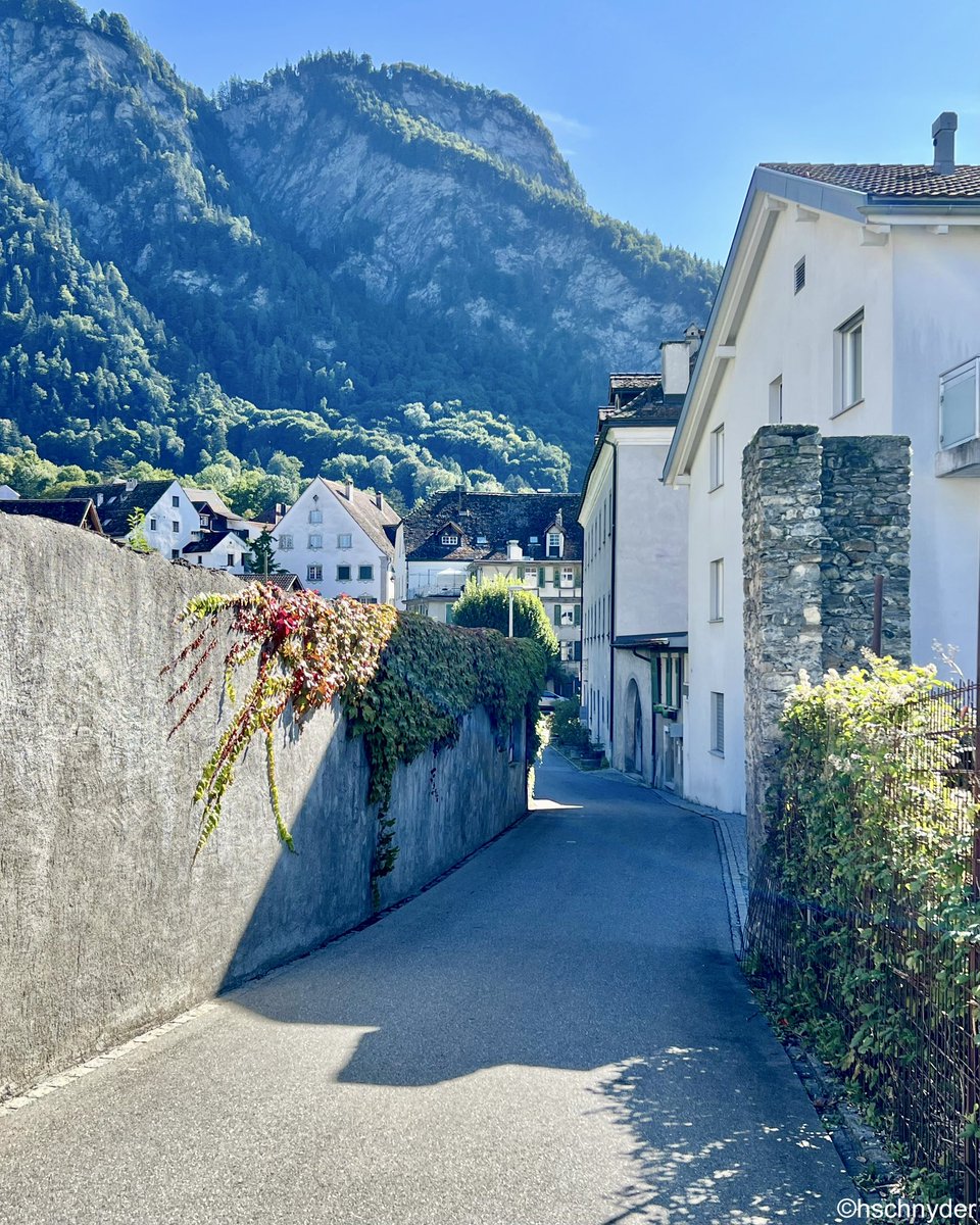 HrSchnyder's tweet image. Von Malans geht es wieder talwärts #malans #landquart #graubünden #wandern
#hiking