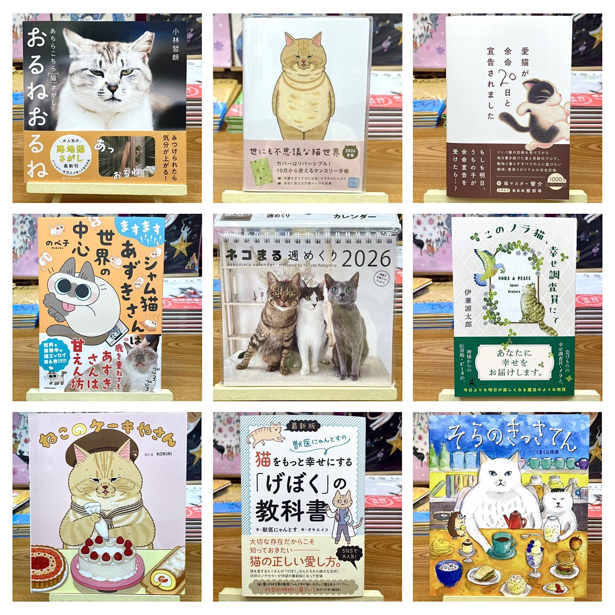 10/4(土)10:00-17:00 日曜定休
猫本、猫グッズに加え、2026猫カレンダー＆猫スケジュール帳も入荷🗓📚
季節の変わり目、愛猫のケアに関する実用書も多数揃えておりますので、気になる方はぜひ📚
お散歩がてら、ユルっとお立ち寄りください🐾