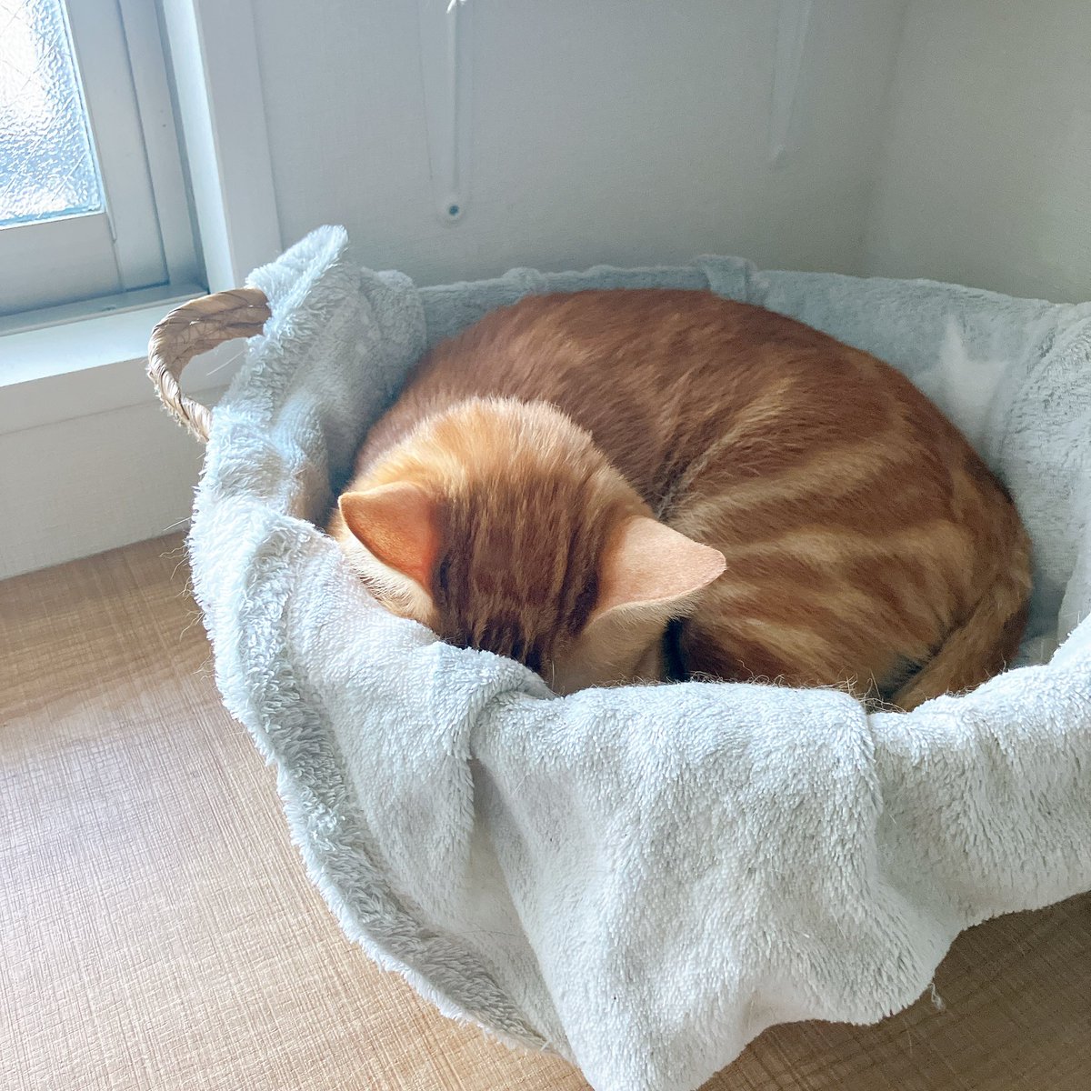 小林 ゆう｜デザイナー tweet media