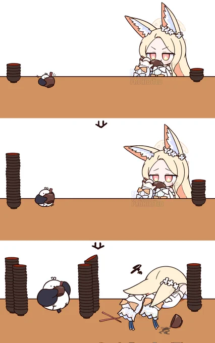 vsわんこそば 