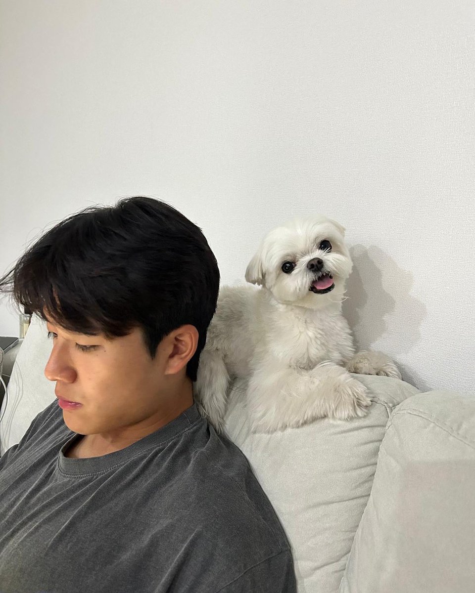 설탕아앙🥹🤍🤍