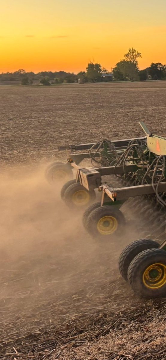 kelly sharpe tweet media