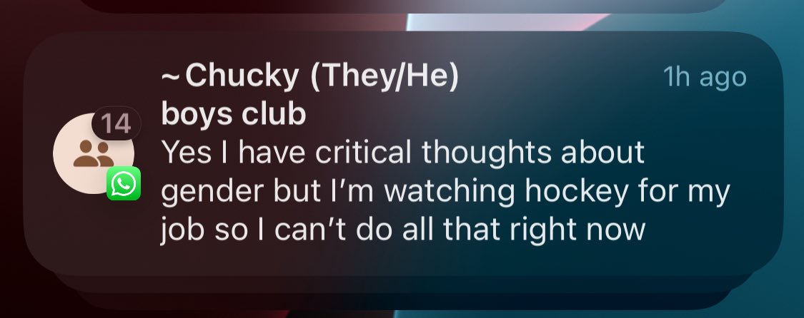 avery 🏳️‍⚧️ (@admbeaumont) on Twitter photo 