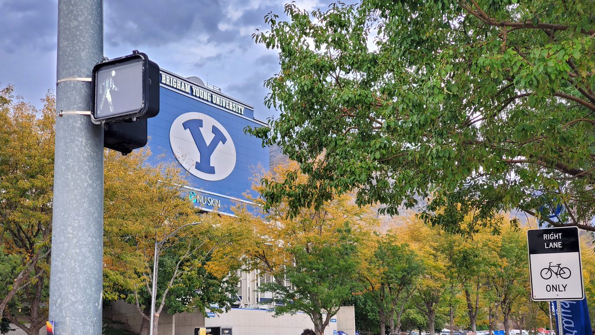 Atticus Pead tweet media