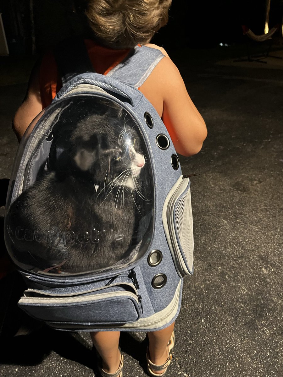Latest purchase - this cat backpack