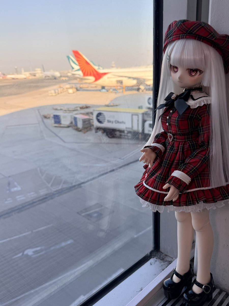 ningyot_t's tweet photo. 東京へ

#きな娘

#dollfiedream 
#volksmdd 
#volksdoll 
#dollfie 
#minidollfiedream 
#ドルフィードリーム 
#ミニドルフィードリーム
#ドルフィー 
#ボークスドール https://t.co/vPDPEYdSOD