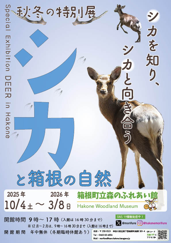 morifure's tweet photo. ＼秋冬の特別展「シカと箱根の自然」／ 

生態などシカの「魅力」やシカと自然を取り巻く環境変化などをはく 製等の標本、生態写真とともに解説・紹介します！

期間：10月4日（土）～2026年3月8日（日） 

#箱根 #Hakone #森のふれあい館 #箱根やすらぎ森 https://t.co/SUzjHVTKzD
