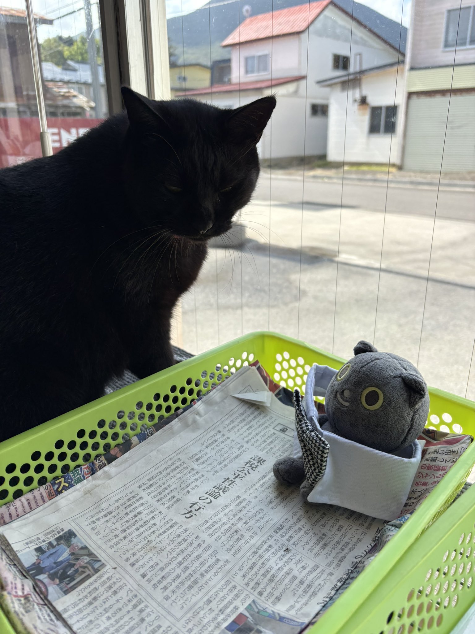 「黒猫みんと」のみ 黒猫みんと」のみ 黒猫みんと」のみ 6875ae3262b31adfbeba0712d1a109