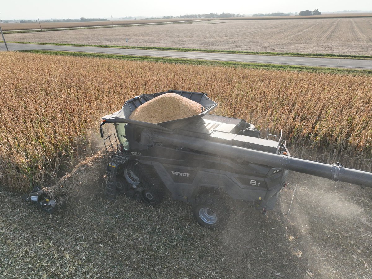 Jason Leary tweet media